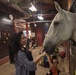 Halloween at the Caisson Stables