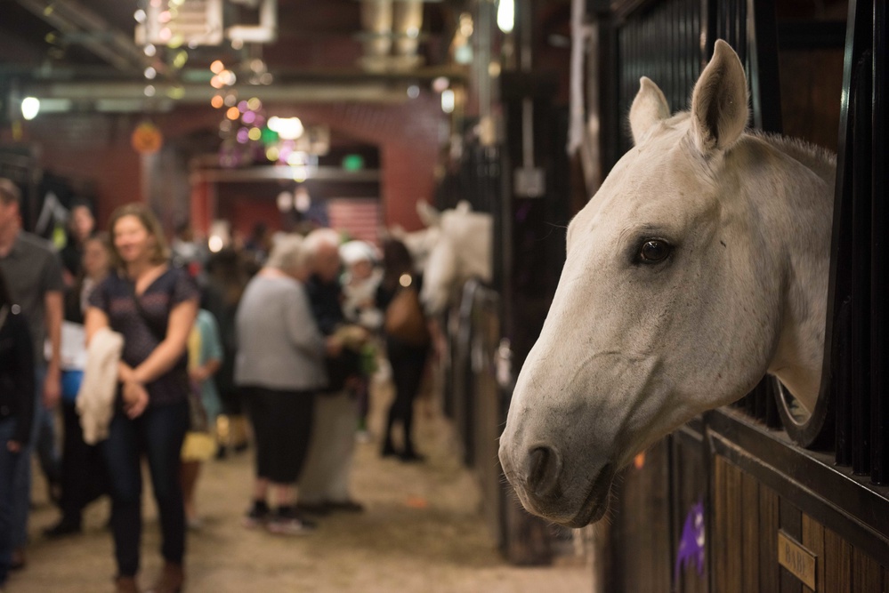 Halloween at the Caisson Stables