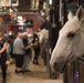 Halloween at the Caisson Stables