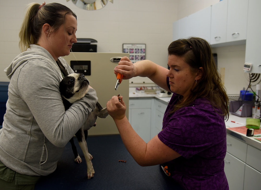 McConnell Veterinary Clinic gives paw-some care