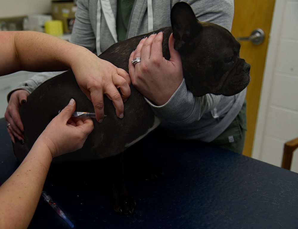 McConnell Veterinary Clinic gives paw-some care