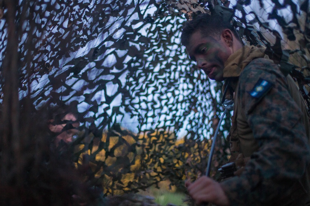 Marines Observe Blue Force during Southern Katipo 17