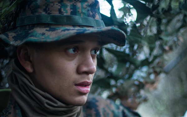 Marines Observe Blue Force during Southern Katipo 17