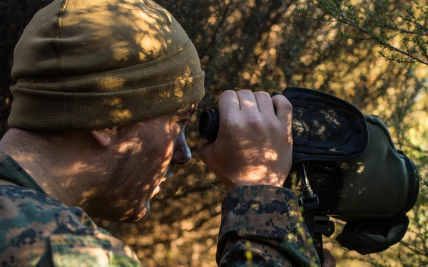 Marines Observe Blue Force during Southern Katipo 17