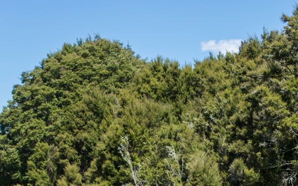 Marines Observe Blue Force during Southern Katipo 17