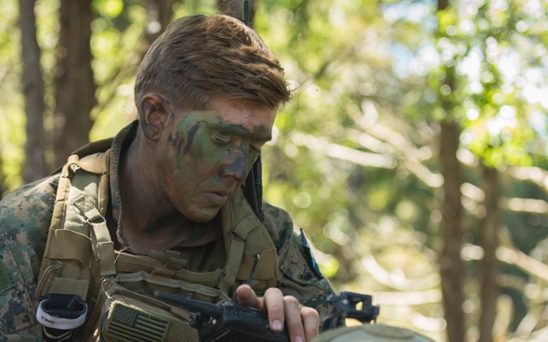 Marines Observe Blue Force during Southern Katipo 17