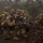 2nd Battalion, 3rd Marines conduct the Infantry Platoon Battle Course