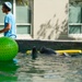 Hurricane Maria: Manatee Conservation Center