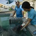 Hurricane Maria: Manatee Conservation Center