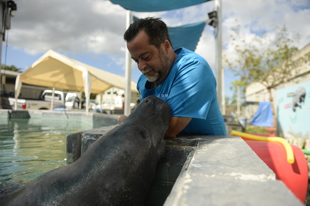 Hurricane Maria: Manatee Conservation Center