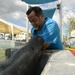 Hurricane Maria: Manatee Conservation Center