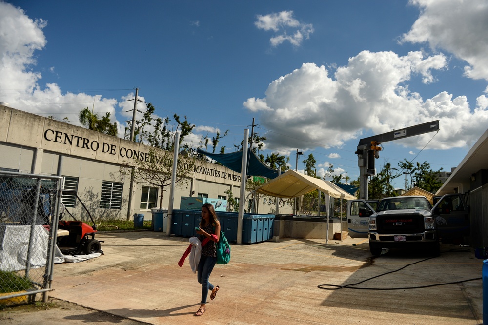 Hurricane Maria: Manatee Conservation Center