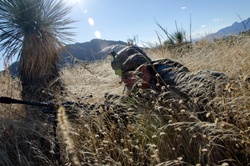 Soldier in the Grass [Image 9 of 14]