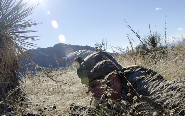 Soldier in the Grass