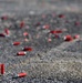 Columbus AFB pilots compete in turkey shoot competition