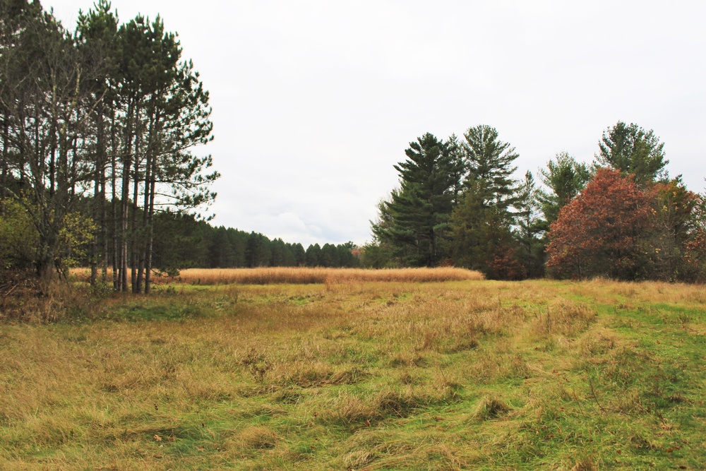 2017 Fort McCoy fall colors on South Post