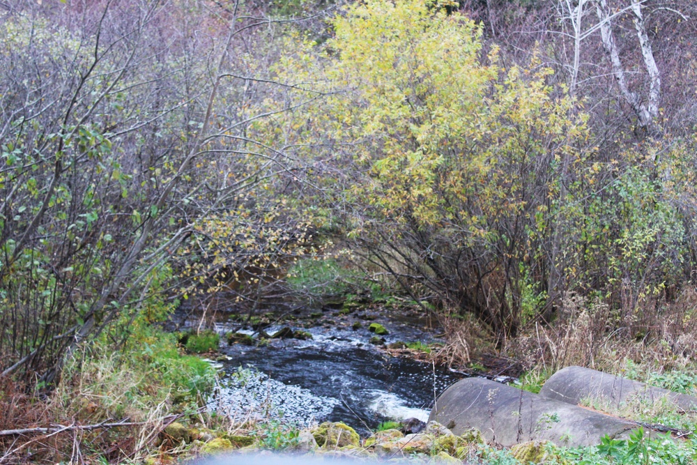 2017 Fort McCoy fall colors on South Post