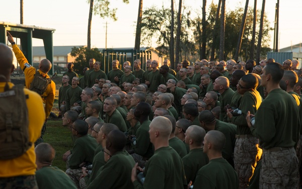 Fox Company Confidence Course