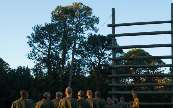 Fox Company Confidence Course