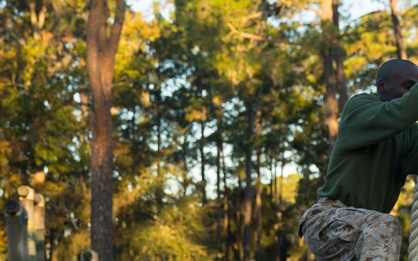 Fox Company Confidence Course