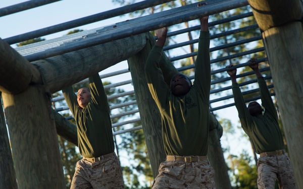 Fox Company Confidence Course