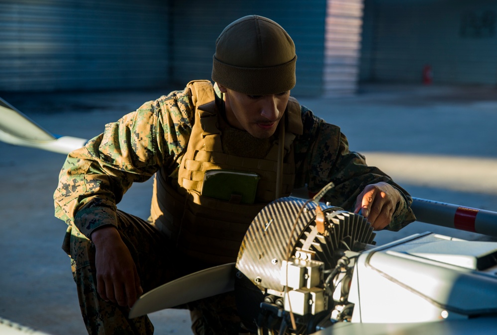 Marine Unmanned Aerial Vehicle Squadron 3 supports 2nd Battalion, 3rd Marines in Exercise Bougainville II