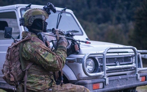 BLUFORCE Descends upon Dipflat