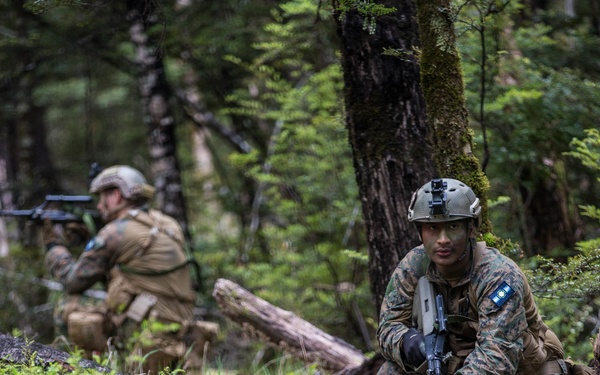 BLUFORCE Descends upon Dipflat