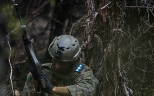 BLUFORCE Descends upon Dipflat