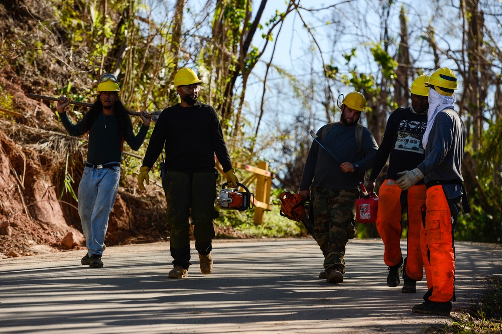 Hurricane Maria: El Yunque National Forest