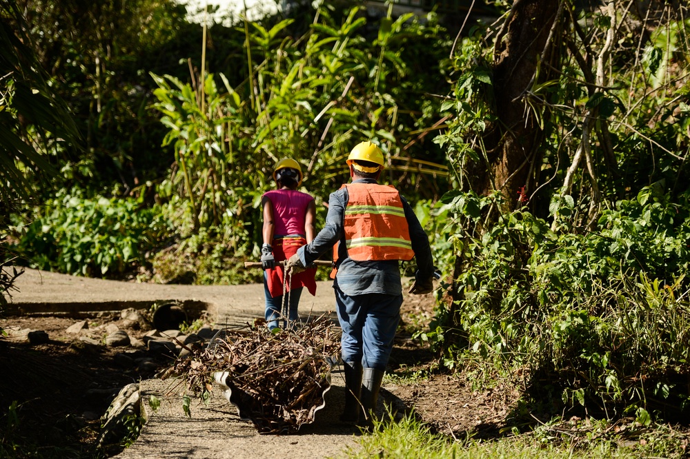 Hurricane Maria: El Yunque National Forest