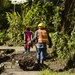 Hurricane Maria: El Yunque National Forest