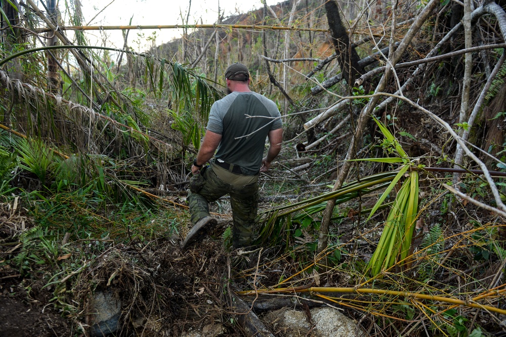 Hurricane Maria: El Yunque National Forest