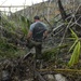 Hurricane Maria: El Yunque National Forest