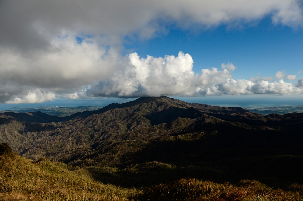 Hurricane Maria: El Yunque National Forest