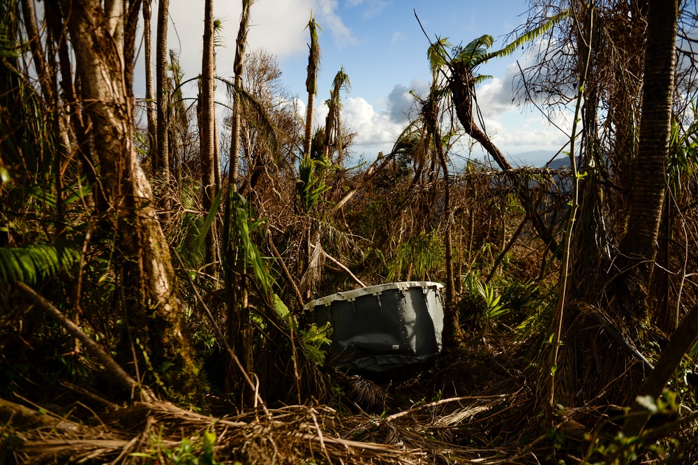 Hurricane Maria: El Yunque National Forest