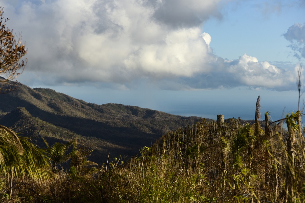 Hurricane Maria: El Yunque National Forest