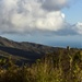 Hurricane Maria: El Yunque National Forest