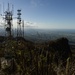 Hurricane Maria: El Yunque National Forest