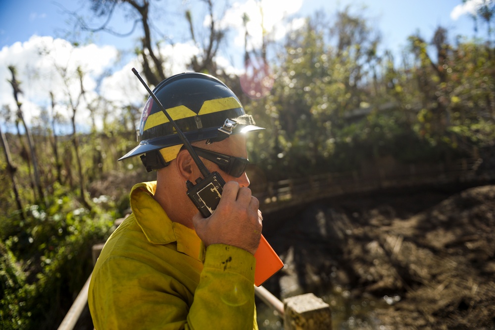 Hurricane Maria: El Yunque National Forest