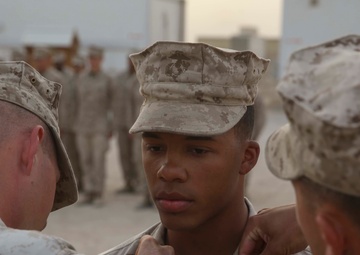 BLT 1/5 gains NCOs and a new member to the family