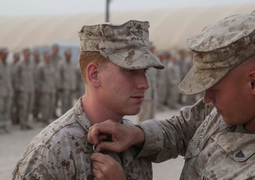 BLT 1/5 gains NCOs and a new member to the family