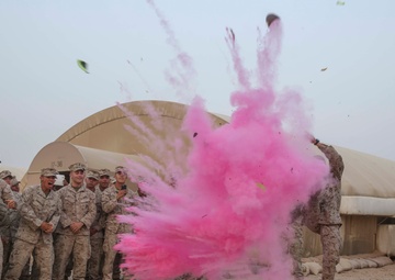 BLT 1/5 gains NCOs and a new member to the family