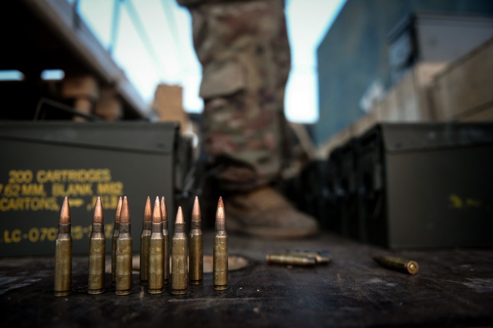 EARF team weapons squads practice bounding movements