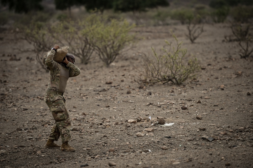 EARF team weapons squads practice bounding movements