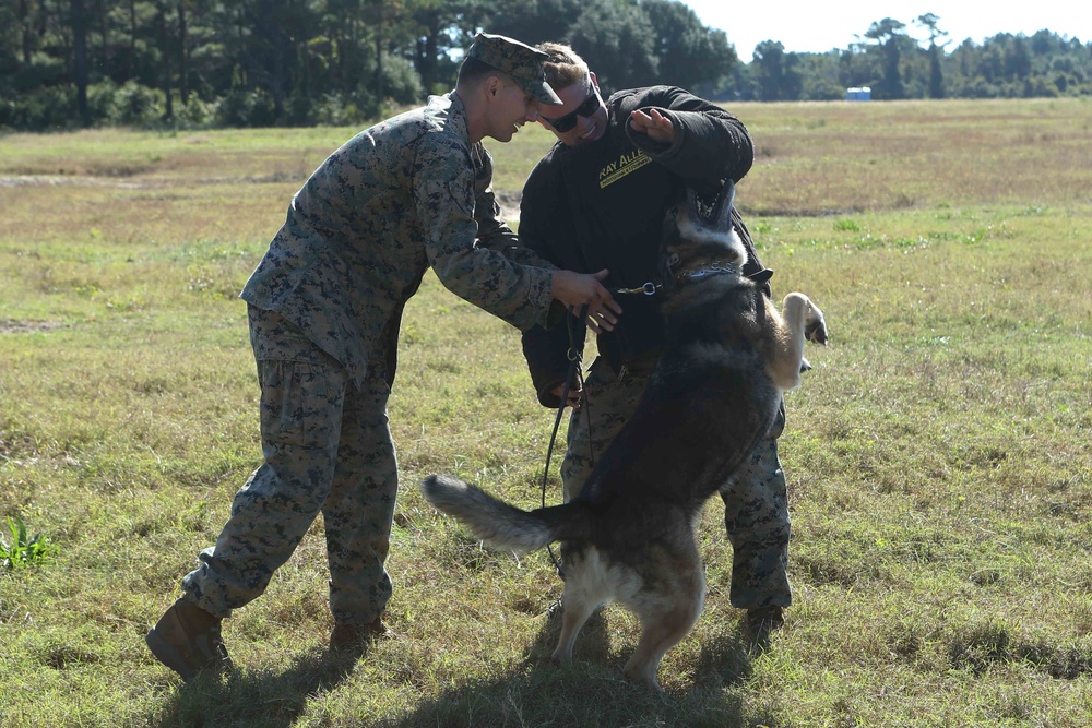 U.S. Marines Participate in Bold Alligator 2017
