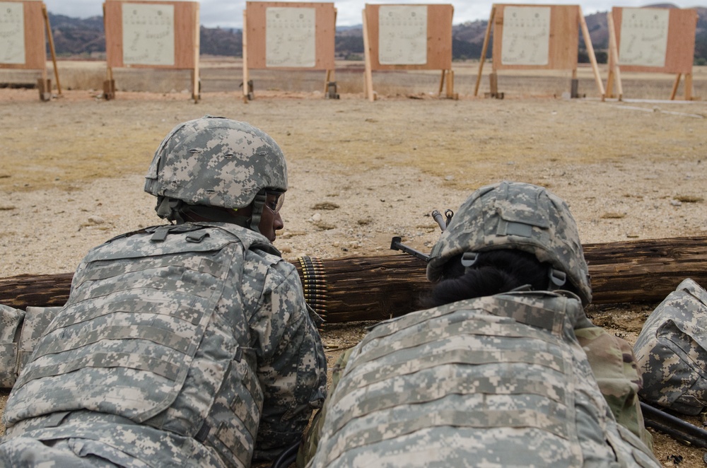 Paper targets first