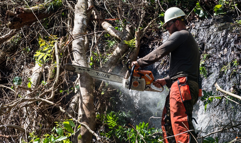 Hurricane Maria: El Yunque National Rain Forest