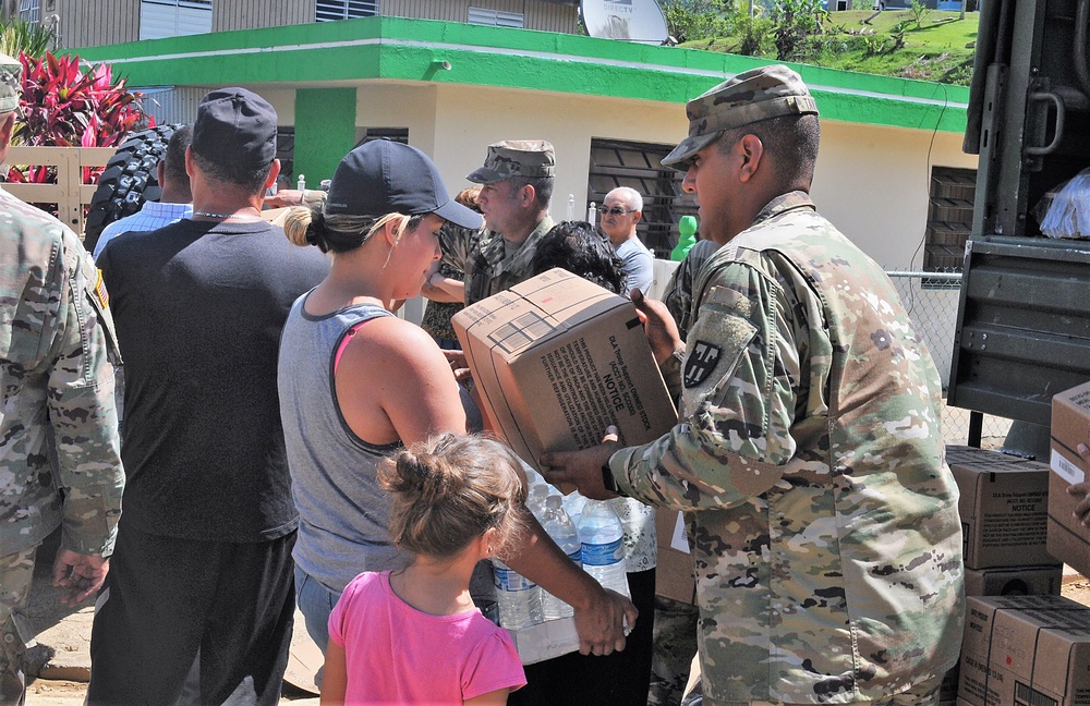 Bringing Help to the Palmarito Community in Corozal, Puerto Rico