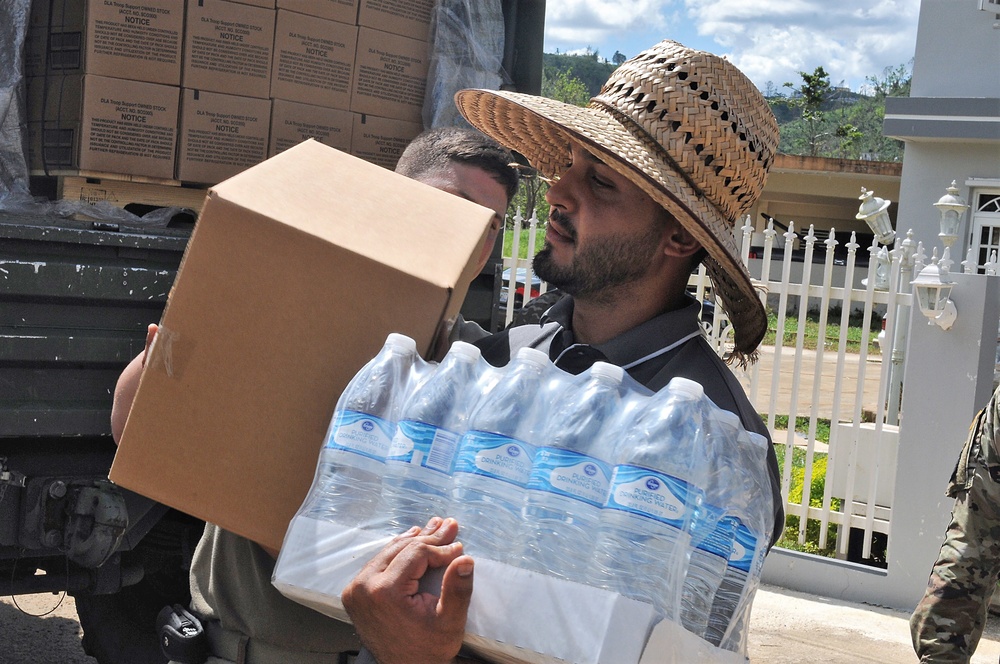 Bringing Help to the Palmarito Community in Corozal, Puerto Rico